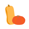 butternut-hokaido-tikve