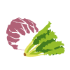 radic