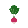 rotkvica