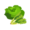 salata-mix