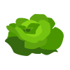 salata