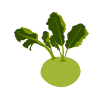 korabica